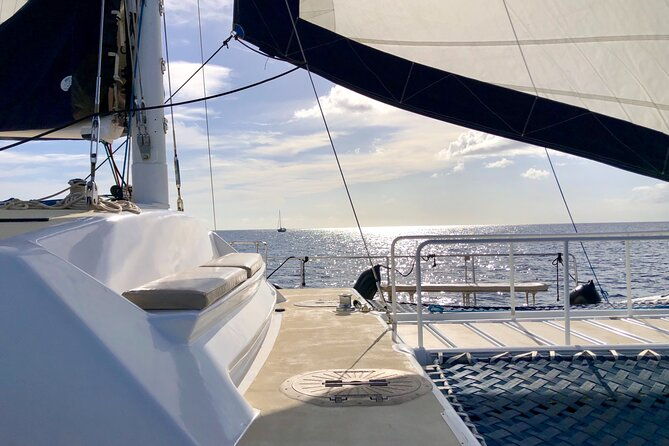 moanas-waikiki-turtle-snorkeling-experience-on-nalu-2