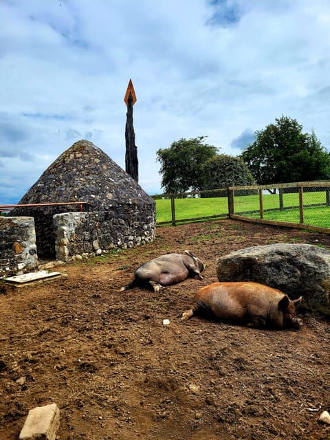 moate-dun-na-si-amenity-heritage-park-admission-ticket