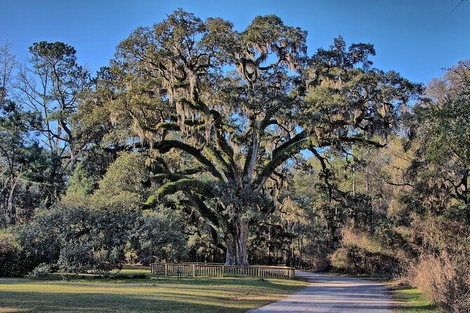 mobile-area-multi-attraction-pass-2