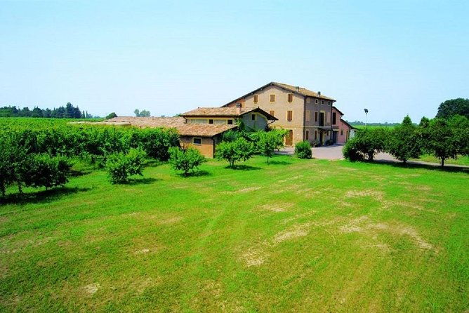 modena-area-balsamic-vinegar-aceto-tasting-experience