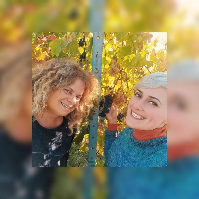 modena-bio-tour-gourmet-tasting-of-dop-balsamic-vinegar