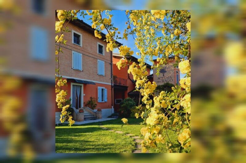 modena-bio-tour-gourmet-tasting-of-dop-balsamic-vinegar