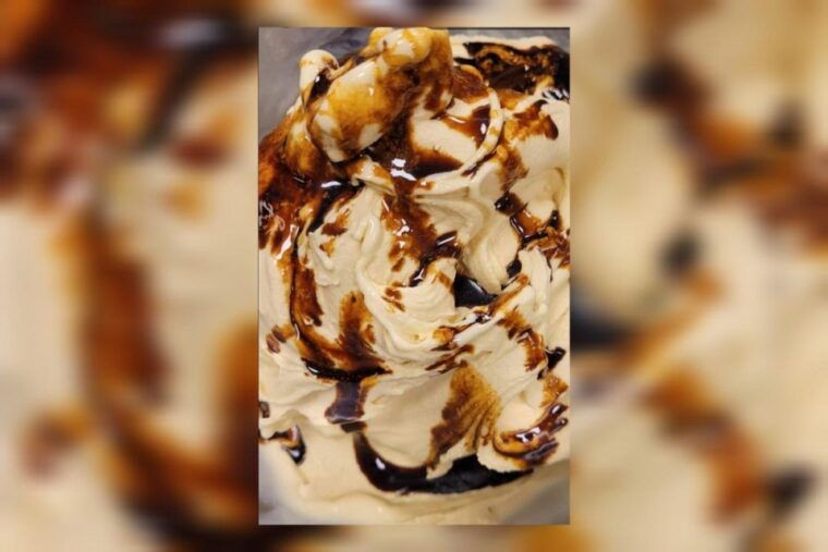 modena-bio-tour-gourmet-tasting-of-dop-balsamic-vinegar