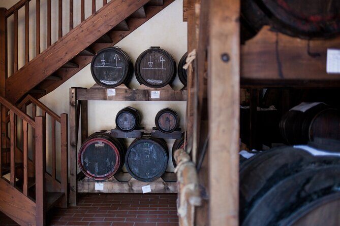 Modena Food:Prosciutto,Parmigiano,Balsamic,Wine,Lunch,Transport - Stop 1: Caseificio Bio Reggiani — The Parmesan Experience