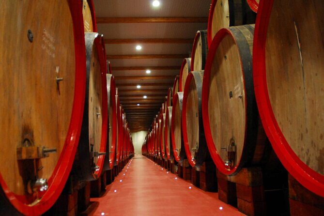 Modena Food:Prosciutto,Parmigiano,Balsamic,Wine,Lunch,Transport - Value for Money