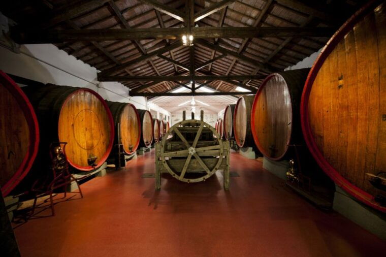 modena-lambrusco-wine-tasting-and-cellar-tour