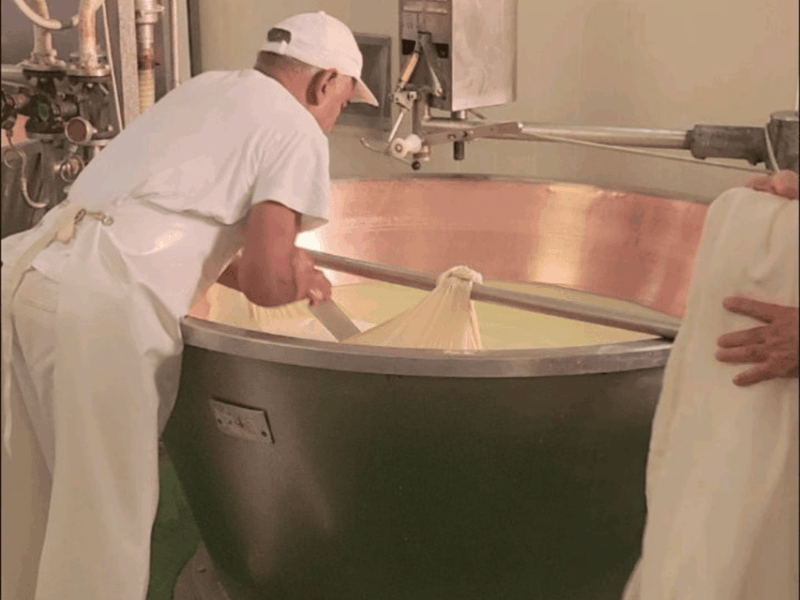 modena-parmesan-cheese-tour-tasting