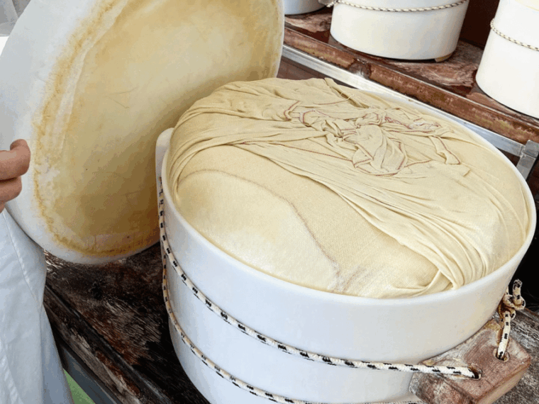 modena-parmesan-cheese-tour-tasting