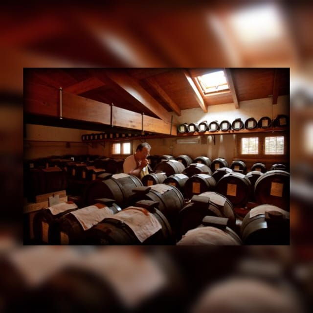 modenatourtaste-of-bio-traditional-balsamic-vinegar-dop