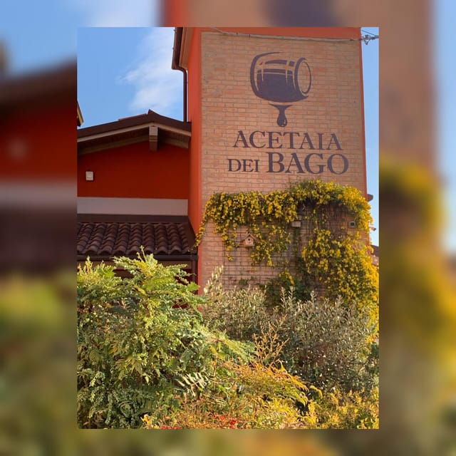 modenatourtaste-of-bio-traditional-balsamic-vinegar-dop