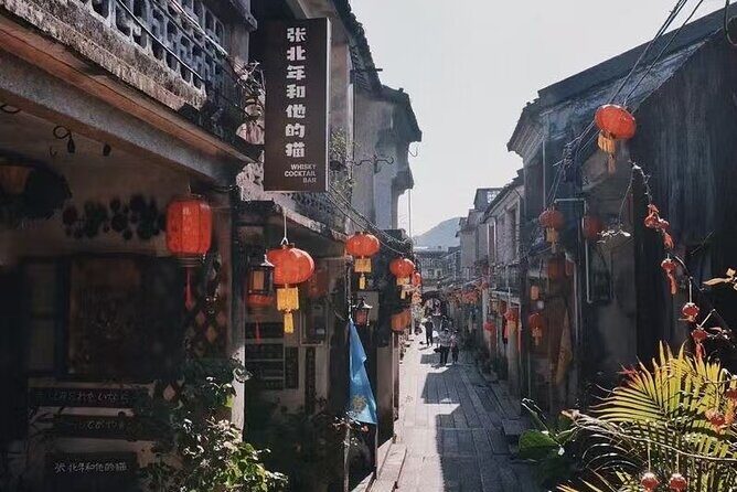 Modern and Ancient Shenzhen Tour - Logistics and Comfort: Private Transportation and Guided Insight