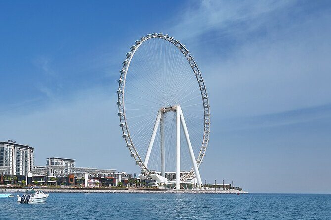 Modern Dubai City Tour: Palm Monorail, Marina, Ain Dubai & More! - Who Will Love This Tour?