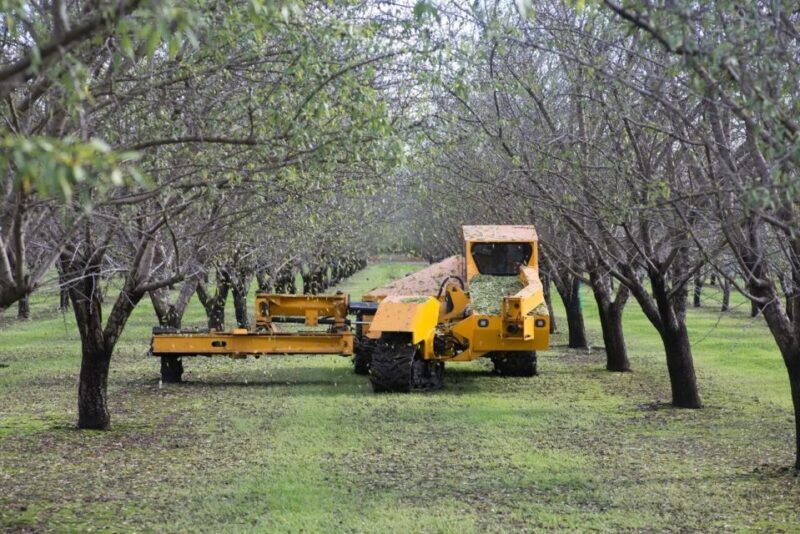 Modesto: Fruits and Roots Tour Driving Audio Guide Tour - FAQ