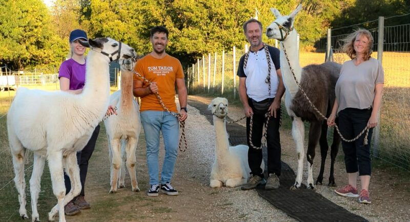 modling-vienna-scenic-guided-hike-with-alpacas-and-llamas