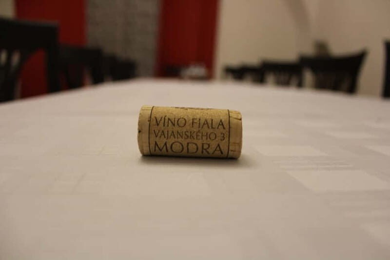 Modra: Private wine tasting guided by winery owner - Who Will Love This Experience?
