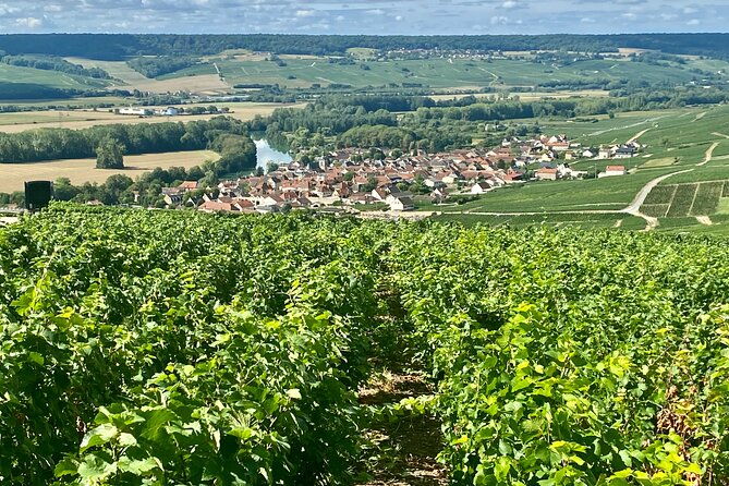 moet-et-chandon-pommery-pressoria-champagne-private-trip