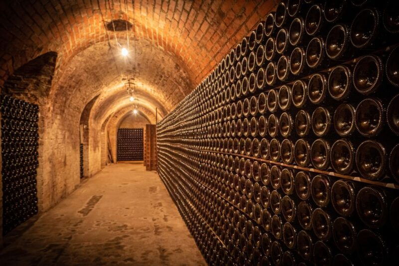 moet-et-chandon-tasting-and-fun-private-tour-in-champagne-2