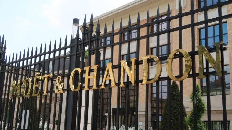 moet-et-chandon-tasting-and-fun-private-tour-in-champagne-2