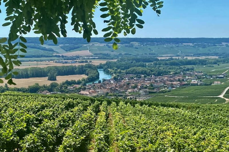 Moet et Chandon Veuve Clicquot Pommery Private Champagn Trip - An Authentic Day Exploring Champagne’s Best