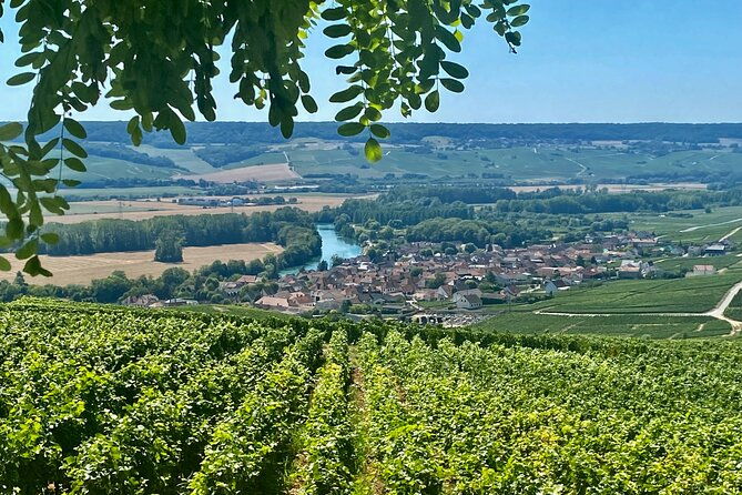 moet-et-chandon-veuve-clicquot-private-champagne-trip-from-paris