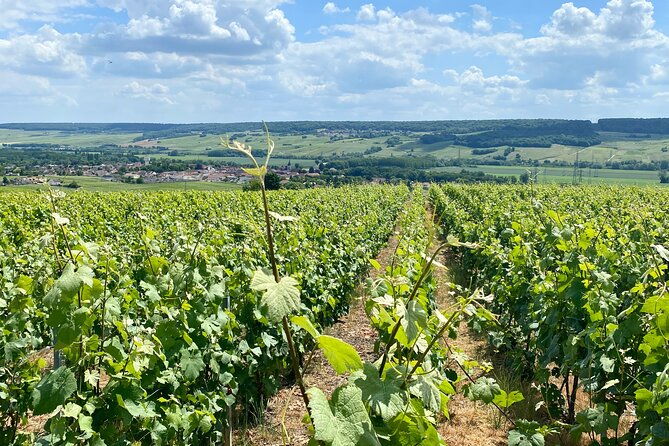 moet-et-chandon-veuve-clicquot-private-champagne-trip-from-paris