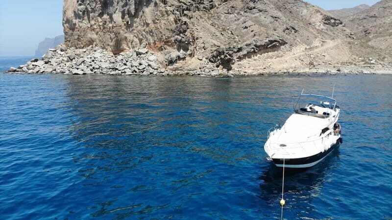 Mogan: Dolphin Watching Boat Trip with Swim Stop - An Authentic Look at the Mogan Dolphin Watching Boat Trip