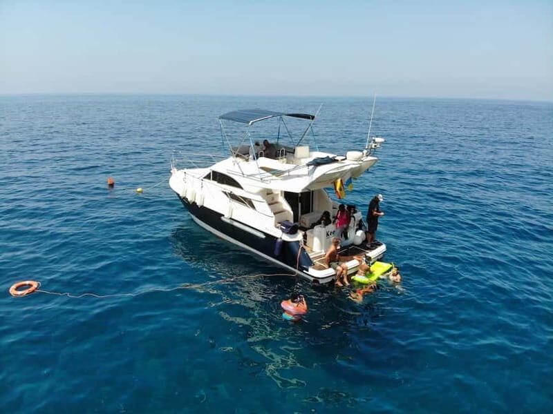 Mogan: Dolphin Watching Boat Trip with Swim Stop - Why This Tour Offers Good Value