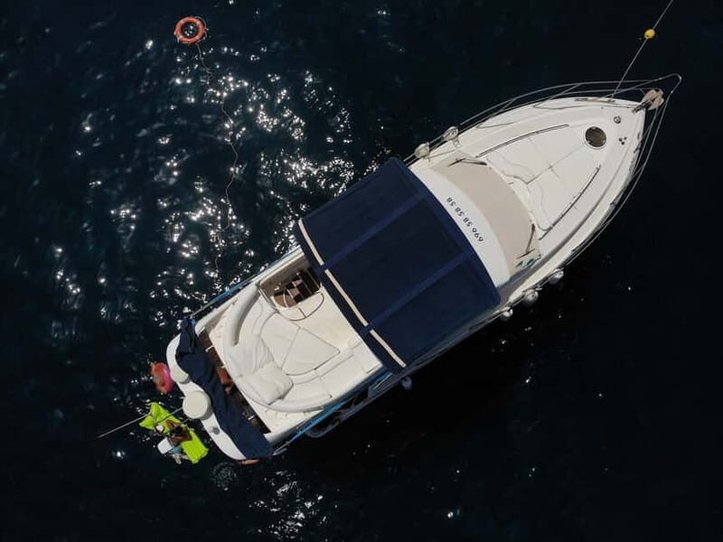 Mogan: Dolphin Watching Boat Trip with Swim Stop - Final Thoughts