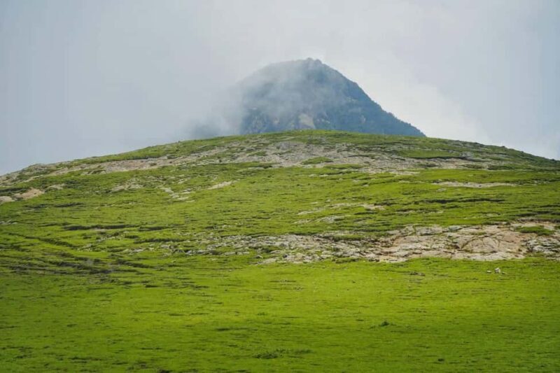 Mogle Mountain Hiking For Birding, Natures From Addis Ababa - Scenic Drive and Departure from Addis Ababa