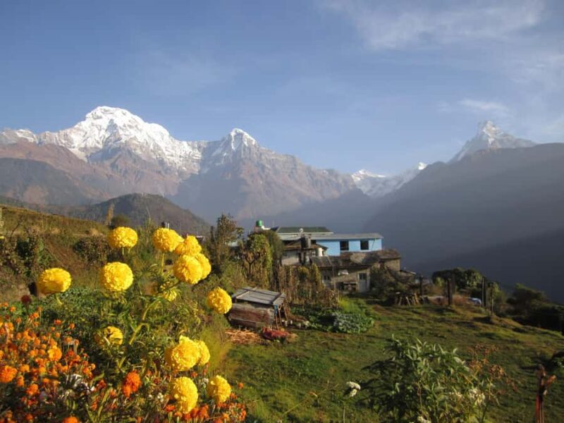 Mohare Danda - Ghorepani - Poon Hill Trek - 7 Days - What to Expect on the Mohare Danda Trek