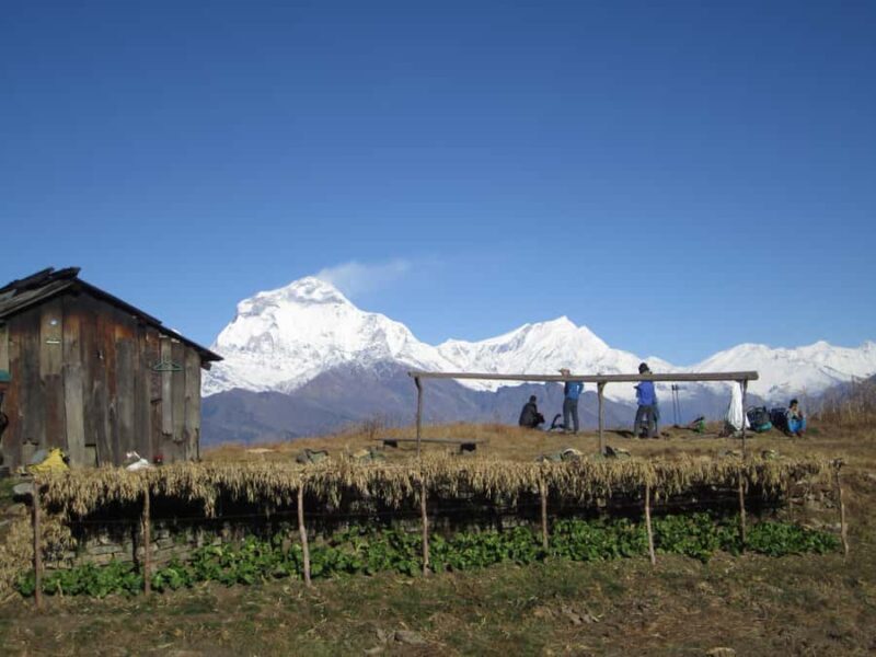 Mohare Danda - Ghorepani - Poon Hill Trek - 7 Days - Who Is This Trek Perfect For?