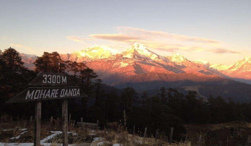 mohare-danda-trek-short-and-easy-trek