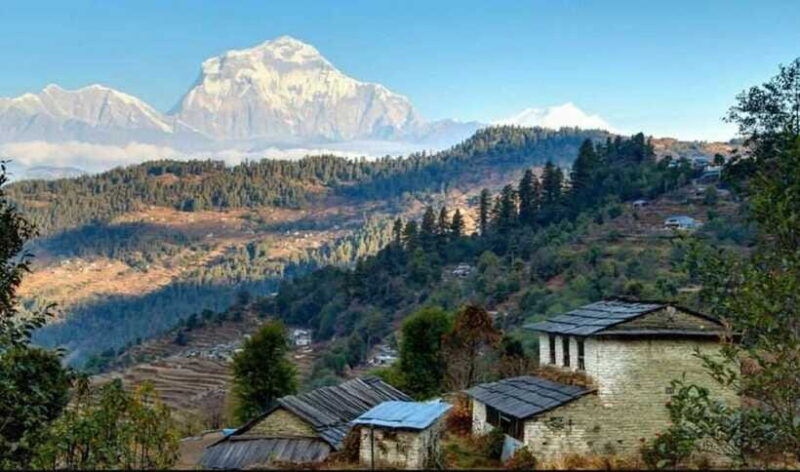 mohare-danda-trek-short-and-easy-trek
