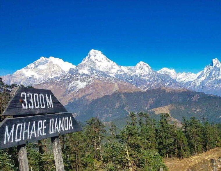 mohare-danda-trek-short-and-easy-trek