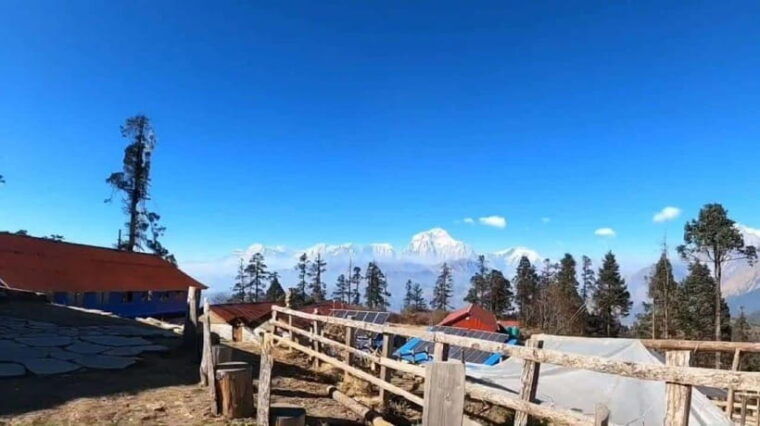 mohare-danda-trek-short-and-easy-trek