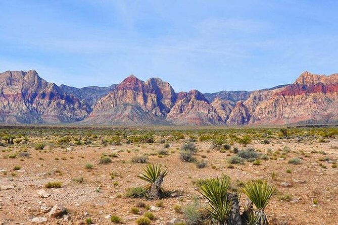 mojave-desert-red-rock-sign-seven-magic-mts-walking-trip