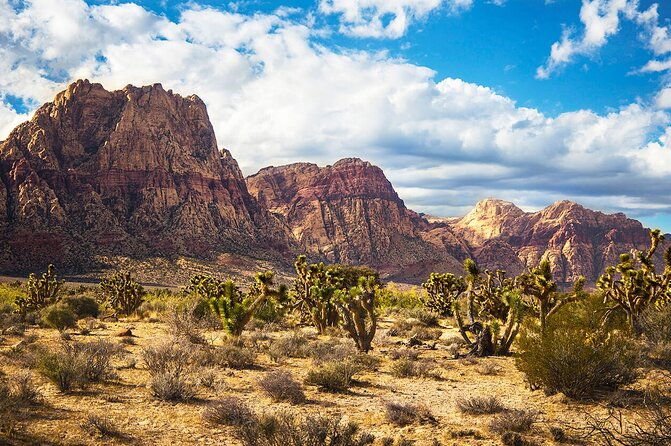 mojave-desert-red-rock-sign-seven-magic-mts-walking-trip