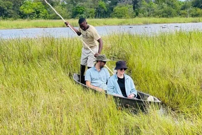 Mokoro Day Trip in the Okavango Delta - Introduction