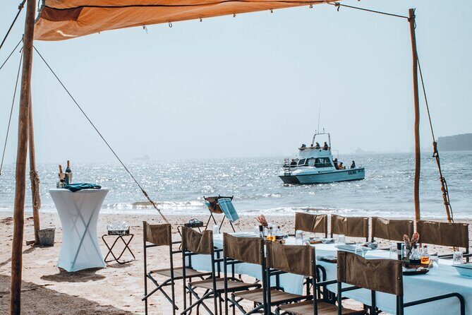 Mola Mola Marine Dolphin Cruise & Beach Braai on Pelican Point - Key Points