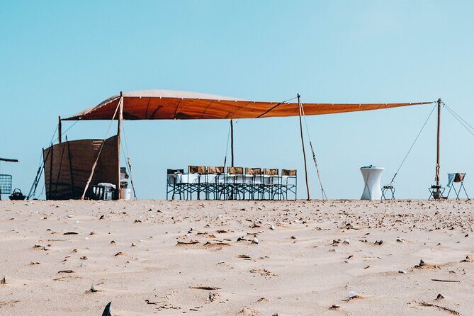 Mola Mola Marine Dolphin Cruise & Beach Braai on Pelican Point - Final Thoughts