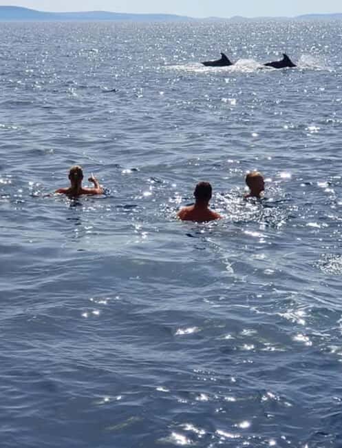 Molat Island Dolphin Watching Boat Tour 6hours TOUR - Lunch and Refreshments