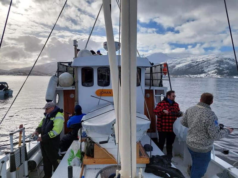 Molde: Boat Trip With Historical Storytelling from Molde - The Scenic Sail: Fannefjorden and Karlsøyfjorden