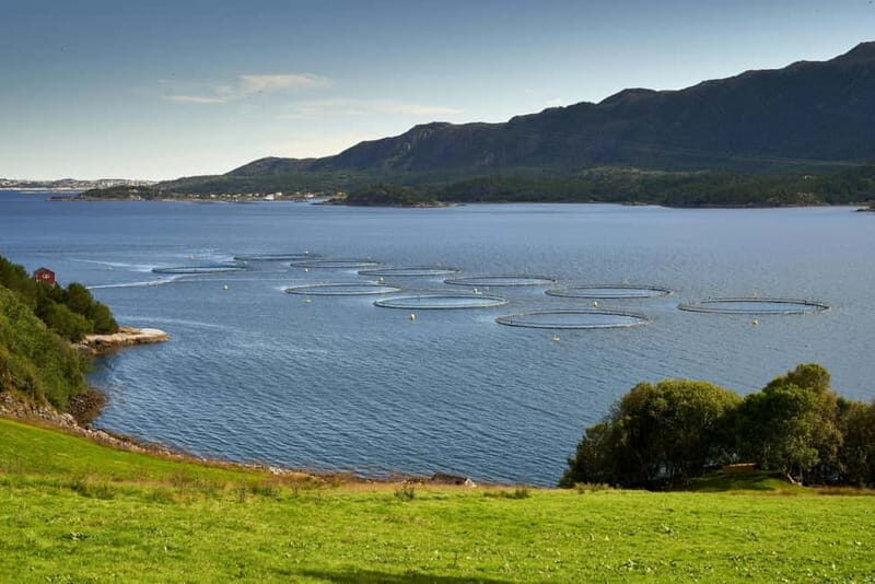 Molde: Journey Along the Atlantics Majestic Route - Key Points