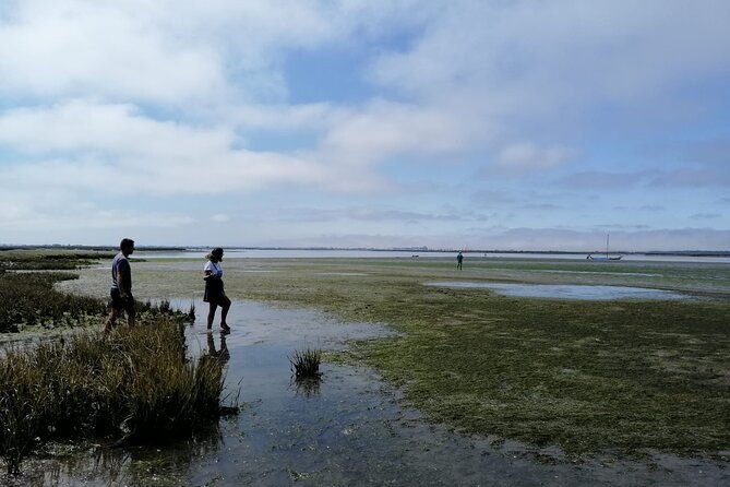 moliceiro-boat-tour-through-the-ria-de-aveiro-3