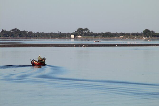 moliceiro-boat-trip-with-experience-in-bivalves-harvesting