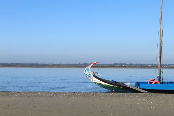 moliceiro-boat-trip-with-experience-in-bivalves-harvesting