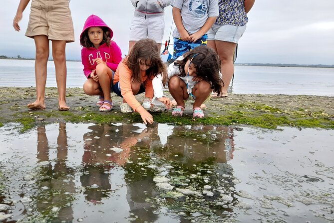 moliceiro-boat-trip-with-experience-in-bivalves-harvesting