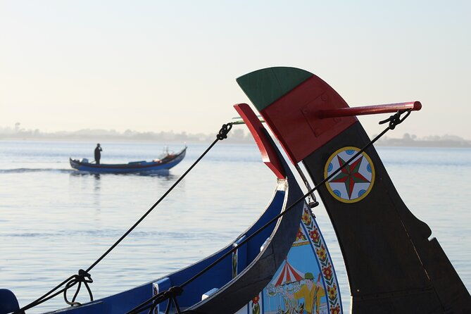 moliceiro-boat-trip-with-experience-in-bivalves-harvesting