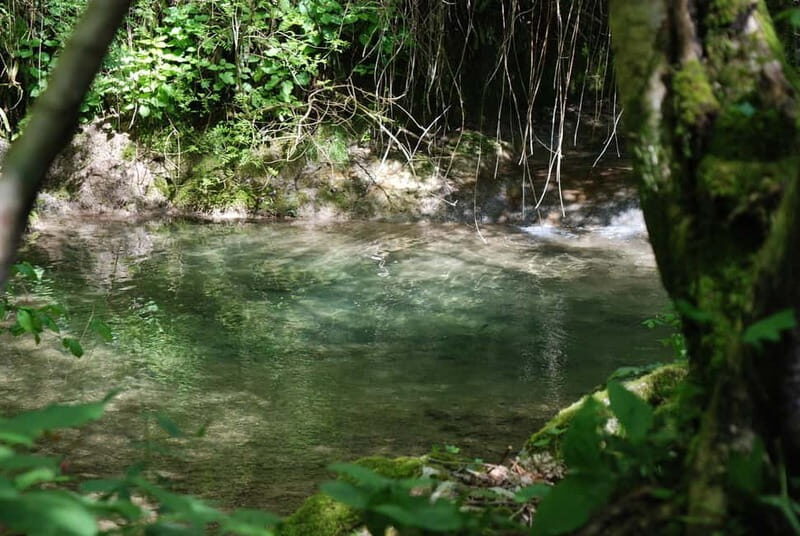 Molina Waterfall Park: tour and optional aperitif - Who Should Consider This Tour?