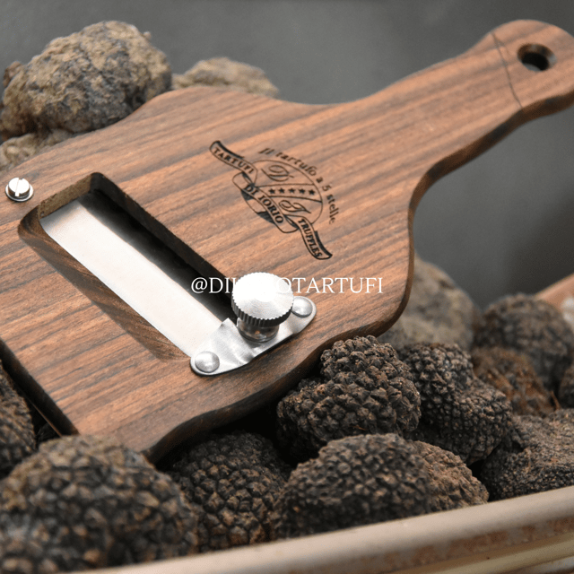 molise-truffle-hunting-with-food-tasting